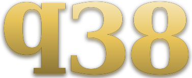 q38 logo